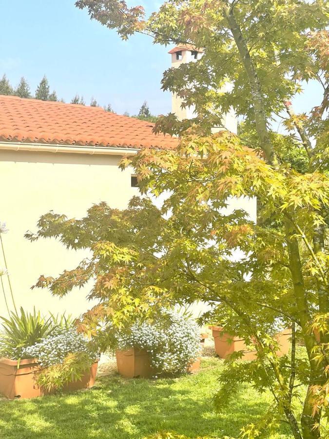 La Casa Da Pipa Villa Cesuras Eksteriør bilde