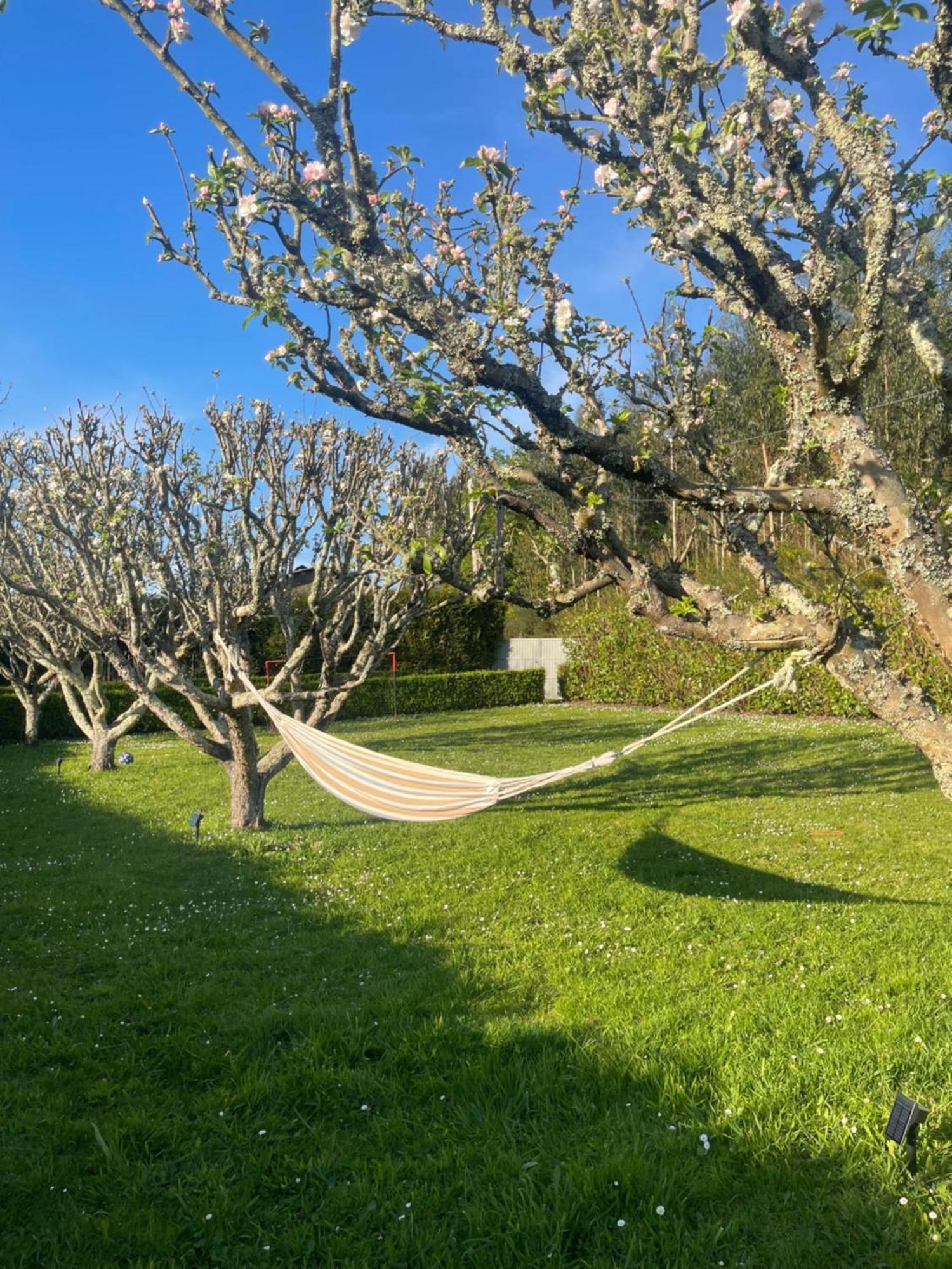 La Casa Da Pipa Villa Cesuras Eksteriør bilde